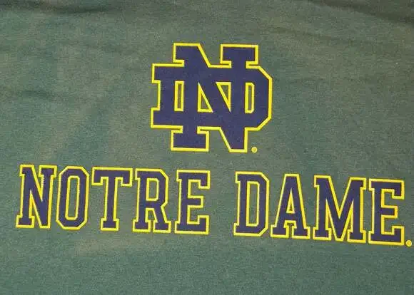 New with Tags Champion Notre Dame Fighting Irish Green Graphic T-Shirt, Large - Picture 2 of 7